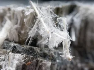 Asbestos Fibers