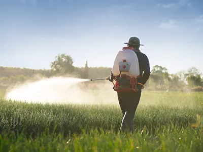 Farmer spraying paraquat on his crops in the field